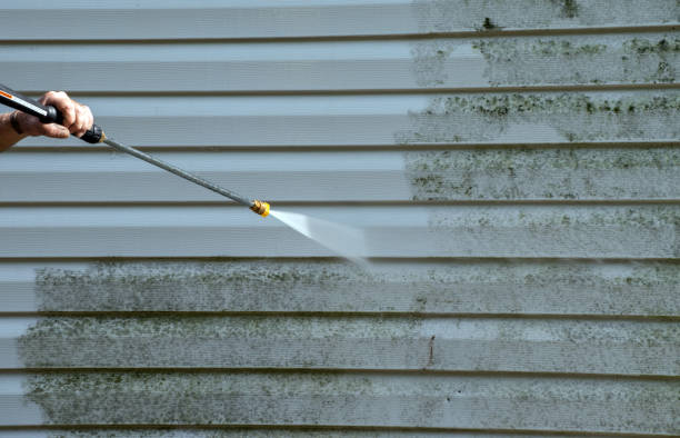 Best Attic Mold Removal  in Brownstown, IN