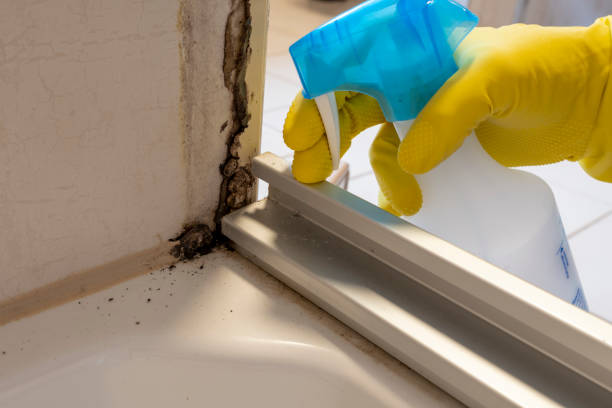Best Mold Testing  in Brownstown, IN