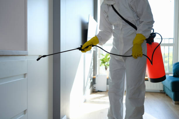 Water Damage Restoration in Brownstown, IN