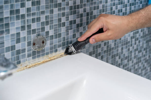 Professional Mold Removal in Brownstown, IN